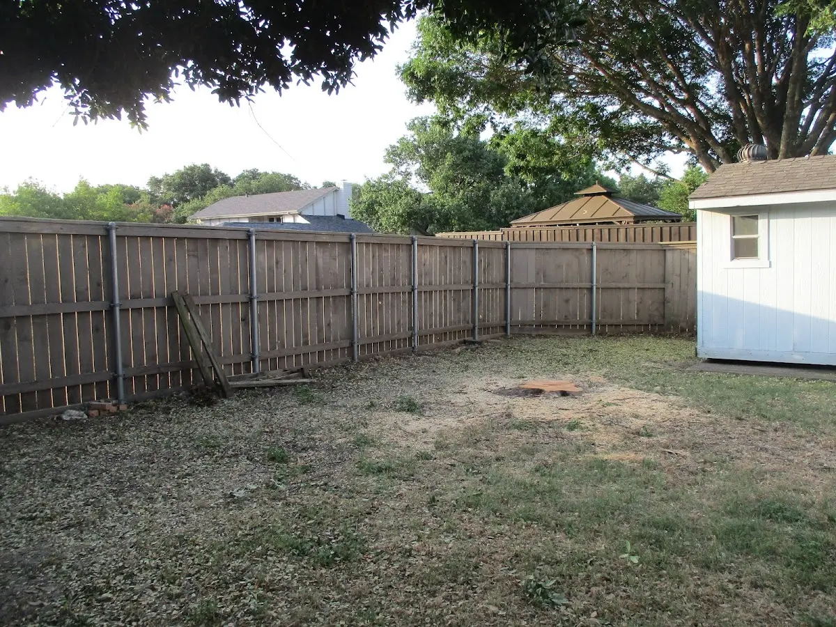 Cleared yard after professional tree removal in Rutland